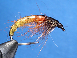 Fly